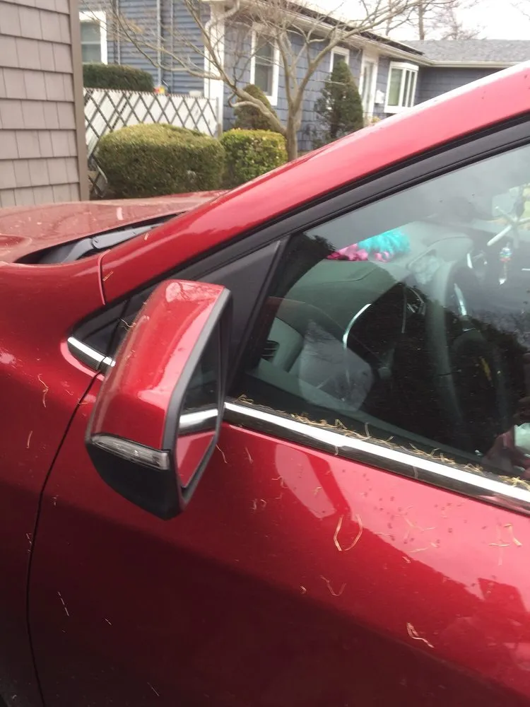 Expert landscaping services for year-round maintenance in Massapequa, NY by All Pro Lawn Care & Design