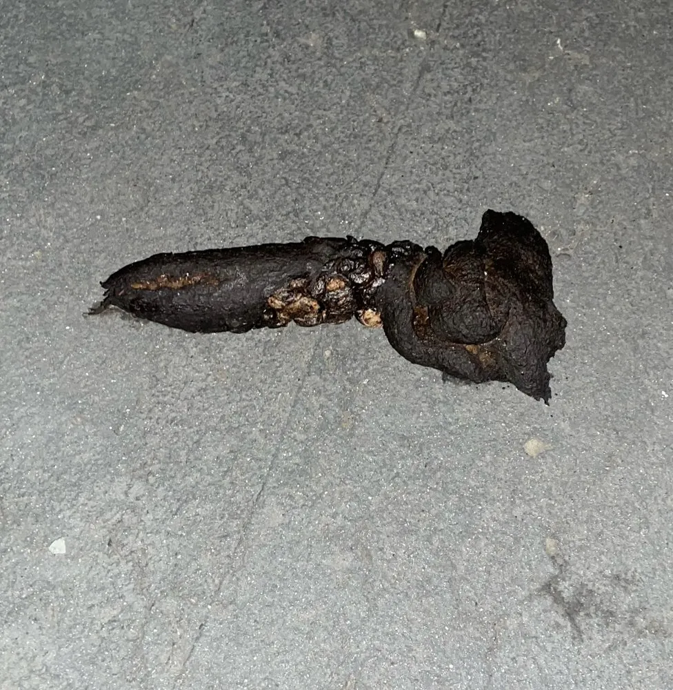 Professional residential landscaping for outdoor upgrades in Bellingham, WA by All Pro Lawn Care