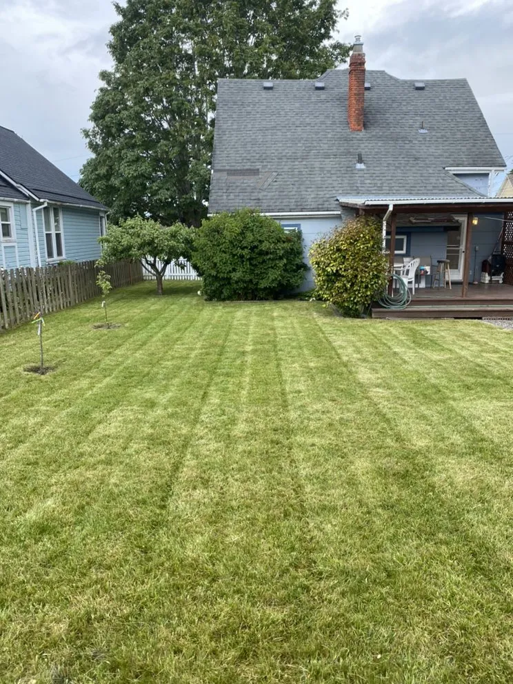 Professional yard maintenance in Bellingham, WA - All Pro Lawn Care