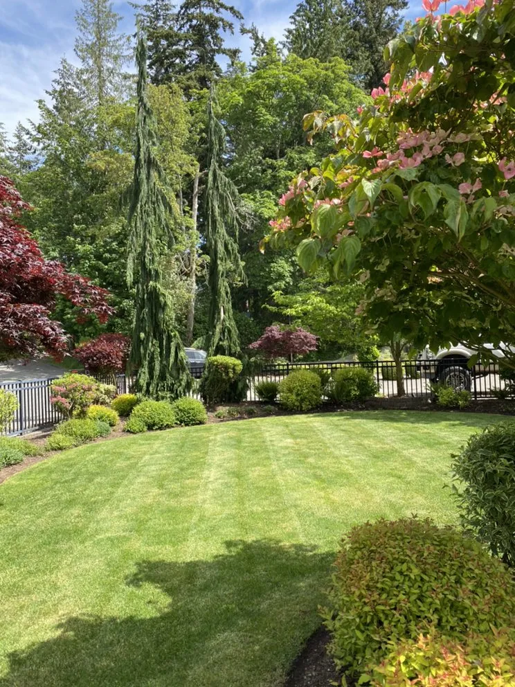 Reliable landscaping services for outdoor upgrades across Bellingham, WA - All Pro Lawn Care