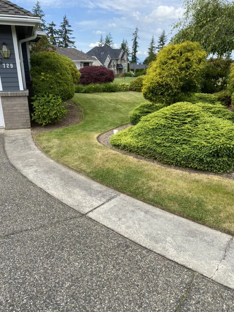 Top-rated landscaping services in Bellingham, WA - All Pro Lawn Care