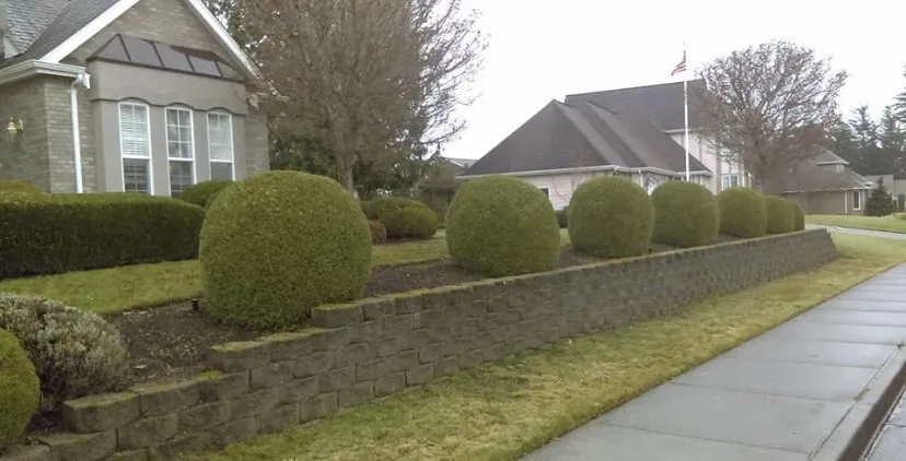 Top-rated landscape design in Bellingham, WA by All Pro Lawn Care