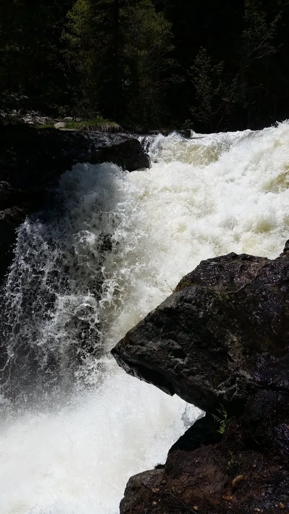 Affordable lawn care service for homes in Golden, CO by All Pro Lawn Care