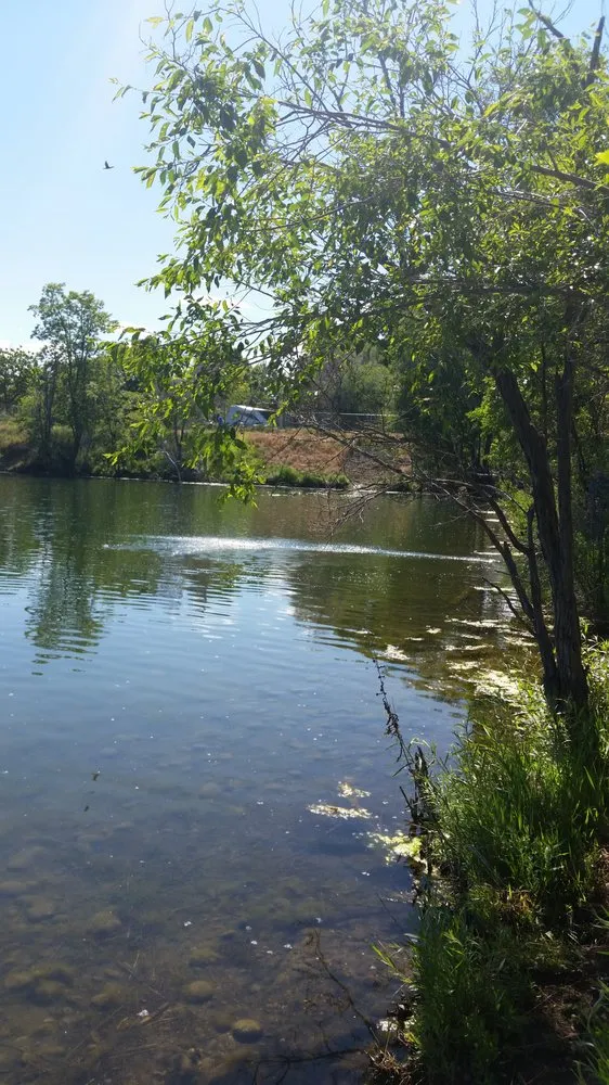 Local landscaping services in Golden, CO by All Pro Lawn Care