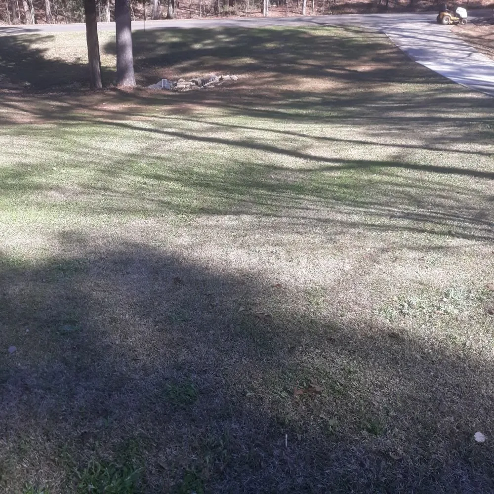 Trusted outdoor landscaping in Minden, LA by All Pro Lawn Care
