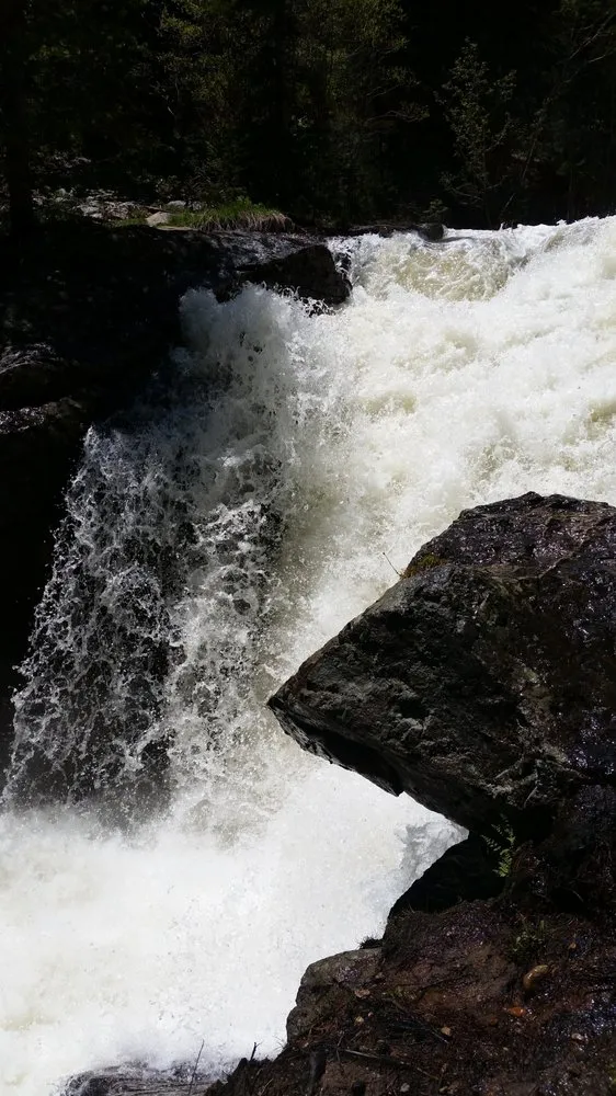 Professional landscape installation experts serving Sierra Vista, AZ - All Pro Lawn Care