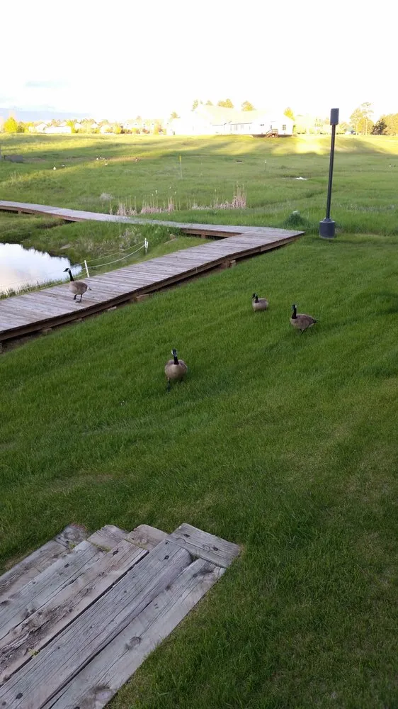 Reliable landscape installation in Sierra Vista, AZ by All Pro Lawn Care