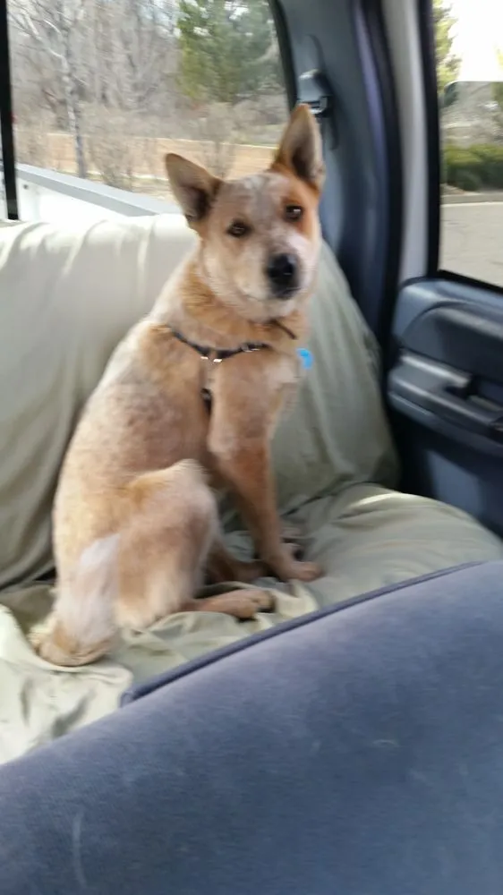 Affordable residential landscaping for year-round maintenance in Sierra Vista, AZ by All Pro Lawn Care