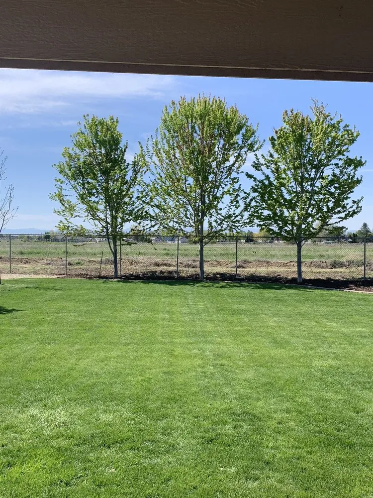 Affordable outdoor landscaping with custom design in Boise, ID by All Pro Lawn Service