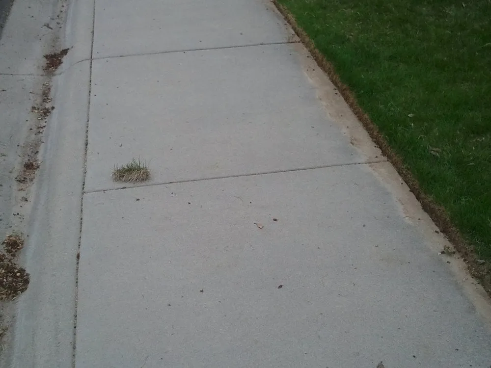 Custom yard cleanup service in Boise, ID - All Pro Lawn Service