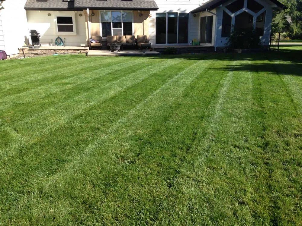 Expert yard maintenance in Boise, ID - All Pro Lawn Service
