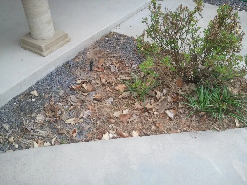 Professional lawn mowing service for homes across Boise, ID - All Pro Lawn Service