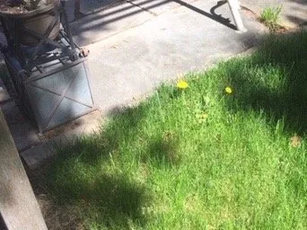 Expert landscaping services experts serving Boise, ID - All Pro Lawn Service