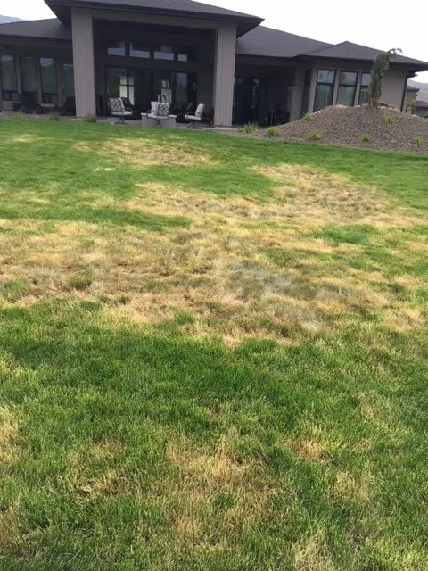 Top-rated outdoor landscaping in Boise, ID by All Pro Lawn Service