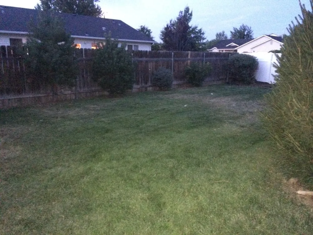 Top-rated yard cleanup service in Boise, ID - All Pro Lawn Service