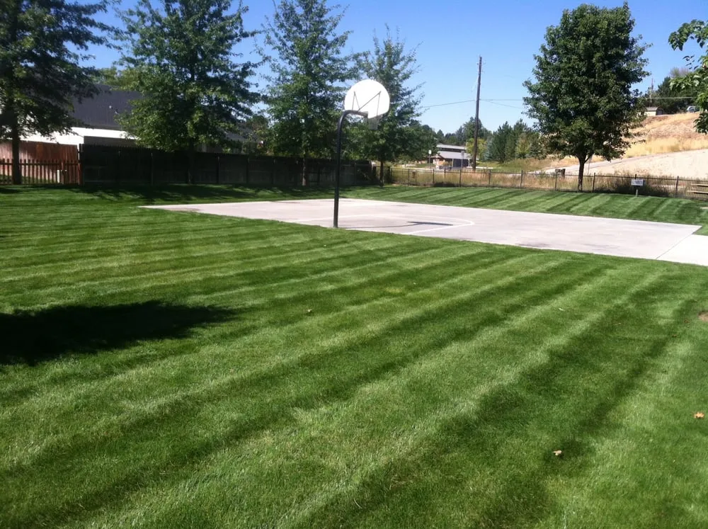 Expert yard maintenance for homes across Boise, ID - All Pro Lawn Service