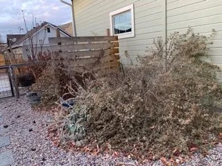 Trusted residential landscaping experts serving Boise, ID - All Pro Lawn Service