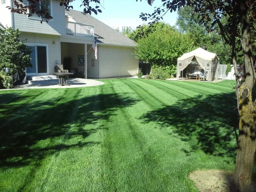 Custom lawn care service in Boise, ID by All Pro Lawn Service