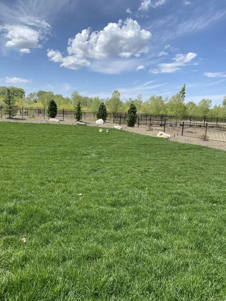 Local landscaping services for homes in Boise, ID by All Pro Lawn Service