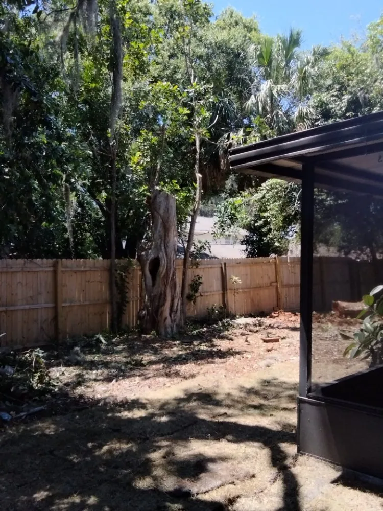 Trusted garden landscaping experts serving Zephyrhills, FL - All Pro Lawn