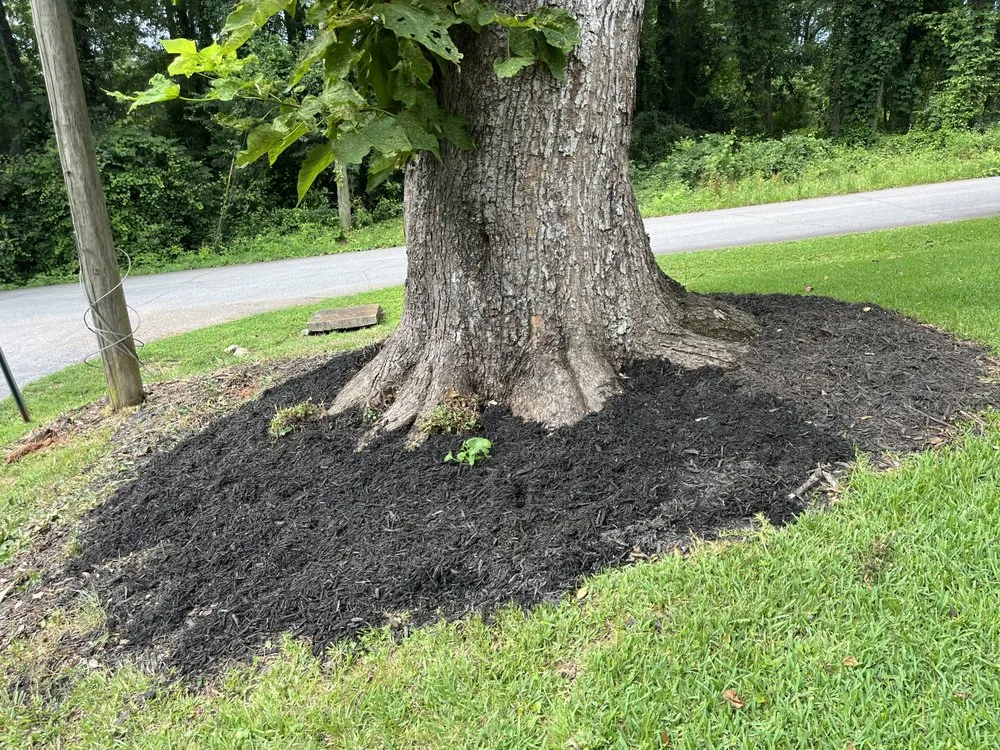 Affordable yard maintenance in Hendersonville, NC - All Pro Outdoors