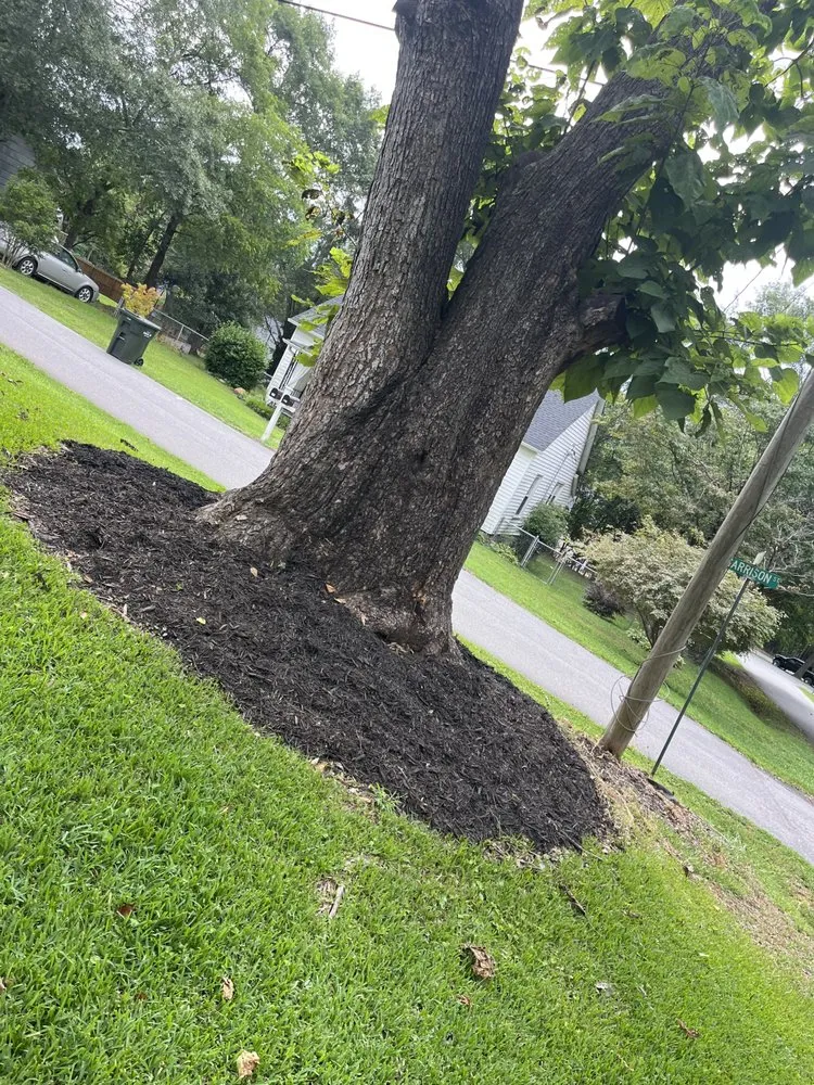 Professional outdoor landscaping in Hendersonville, NC - All Pro Outdoors