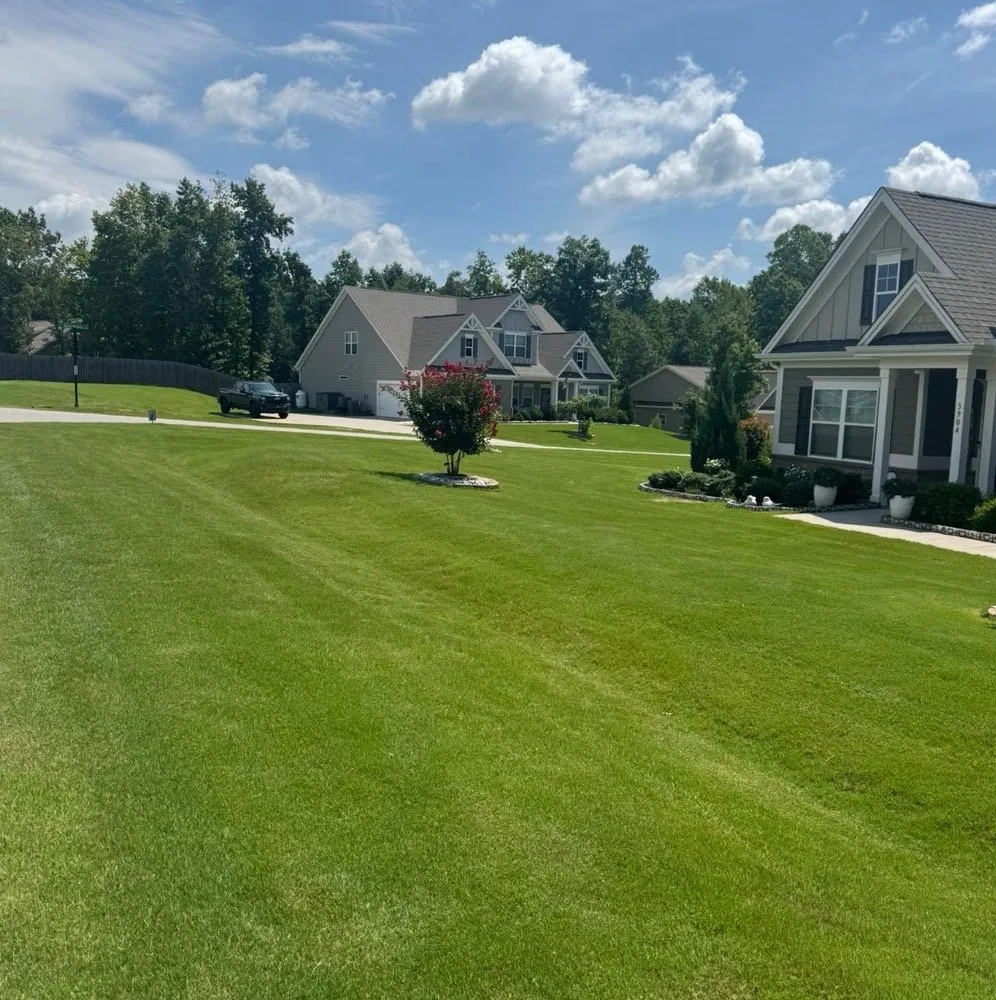 Professional yard maintenance in Hendersonville, NC - All Pro Outdoors