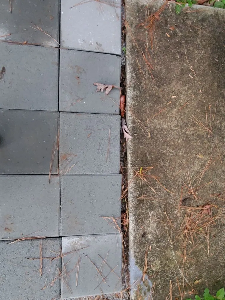 Affordable yard maintenance for residential properties in Conley, GA by All Pro Plus