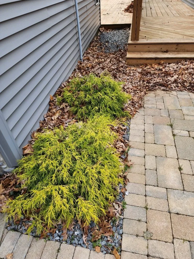 Top-rated landscaping services in Coloma, MI - All Pro Professional Services