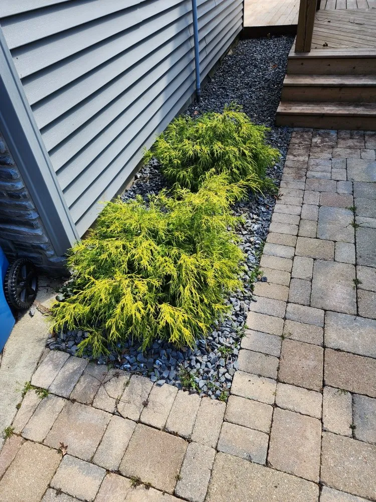 Top-rated landscape design experts serving Coloma, MI - All Pro Professional Services