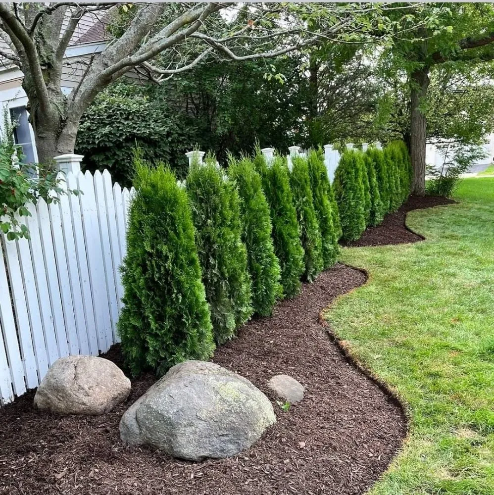 Affordable yard cleanup service experts serving Coloma, MI - All Pro Professional Services