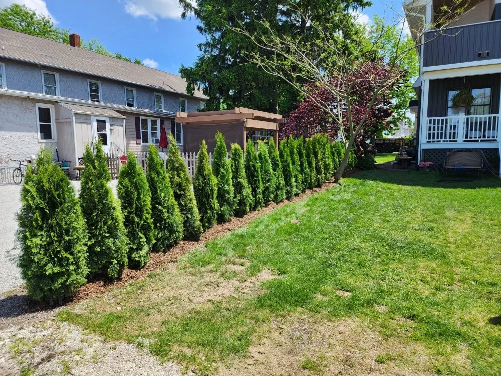 Expert landscape design for homes in Coloma, MI by All Pro Professional Services