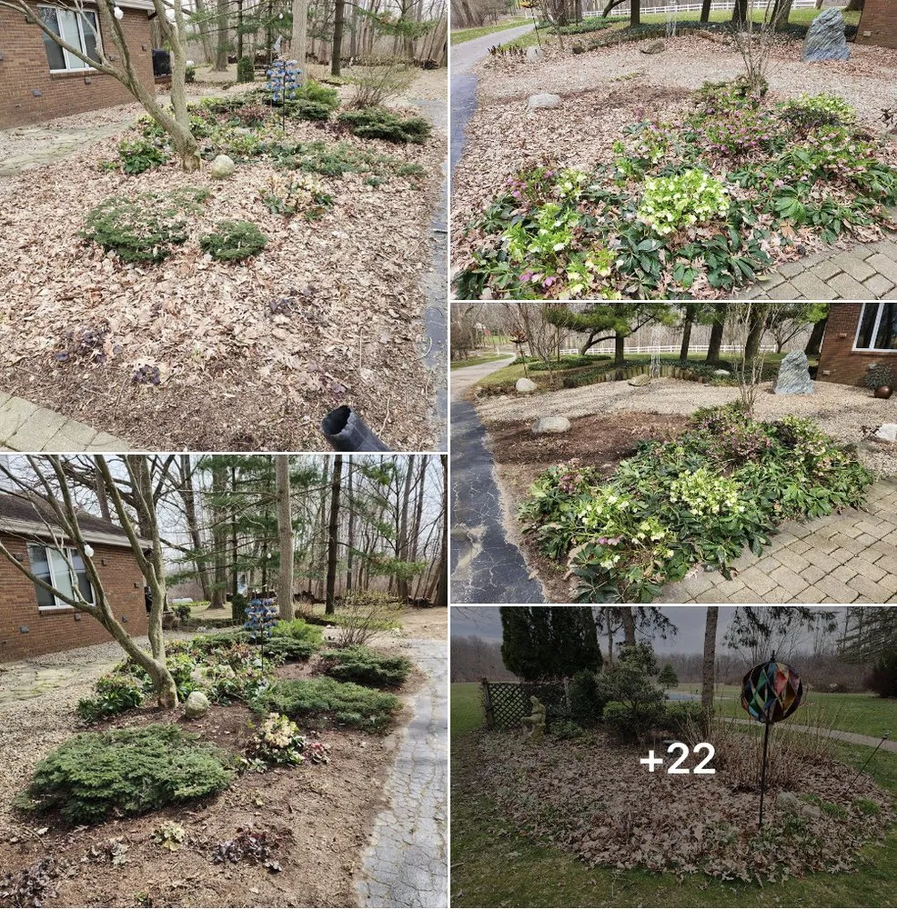 Top-rated yard cleanup service in Coloma, MI - All Pro Professional Services