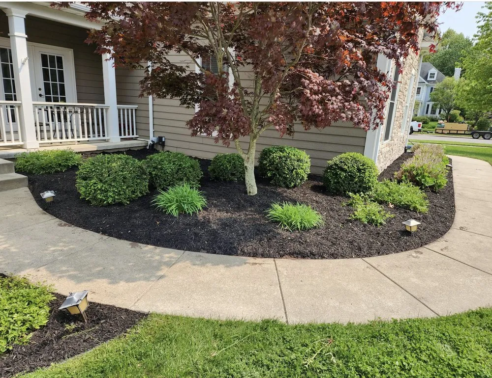Local lawn care service experts serving Coloma, MI - All Pro Professional Services
