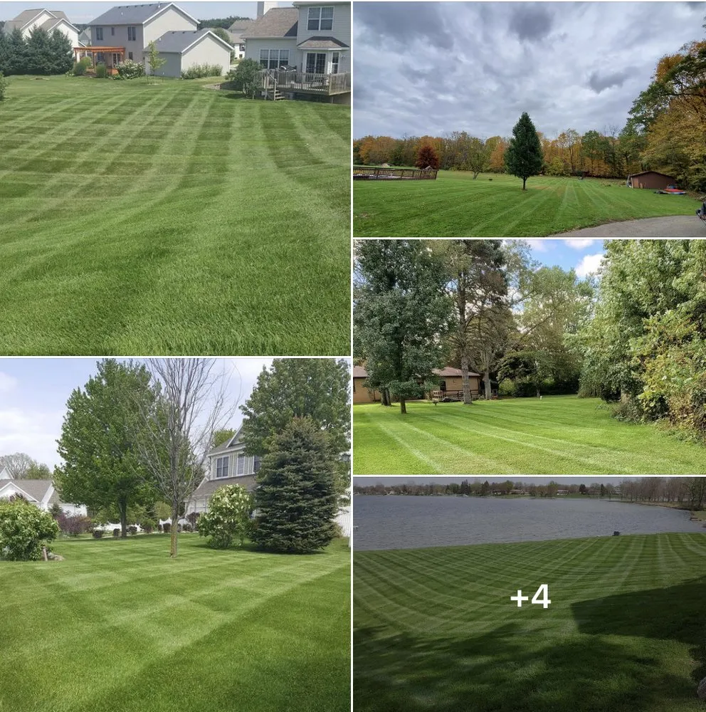 Professional lawn care service for outdoor upgrades in Coloma, MI by All Pro Professional Services
