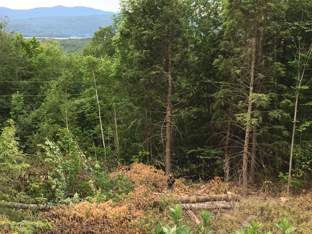 Expert lawn care service for year-round maintenance across Ashland, NH - All Pro Property Maintenance