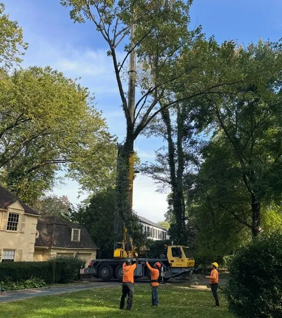 Professional landscape design experts serving Eastchester, NY - All Pro Property Maintenance