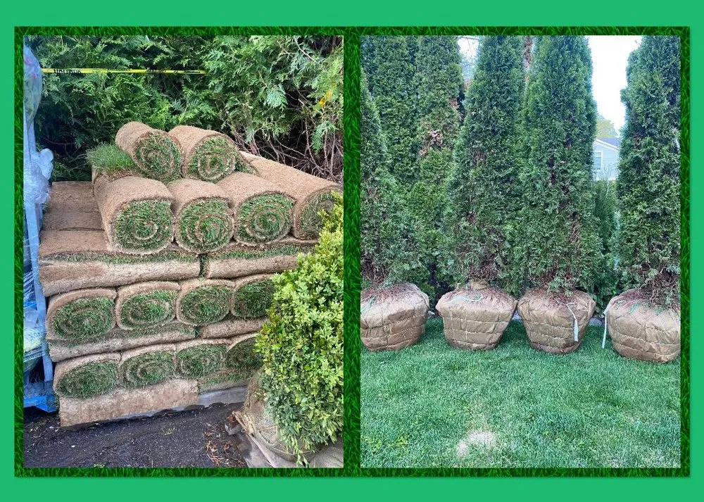 Local lawn mowing service experts serving Eastchester, NY - All Pro Property Maintenance