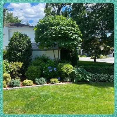 All Pro Property Maintenance