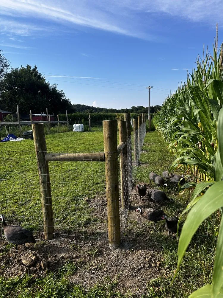 Trusted lawn mowing service for residential properties in Lancaster, OH by All Pro Services