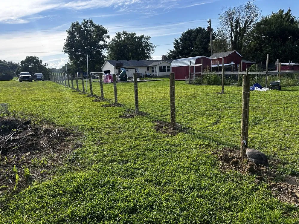 Reliable yard maintenance for outdoor upgrades across Lancaster, OH - All Pro Services