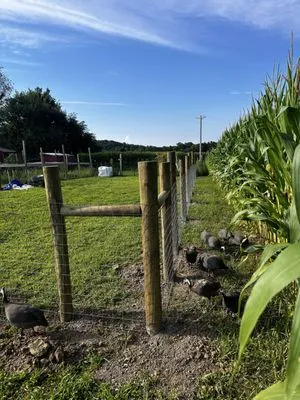 All Pro Services Logo