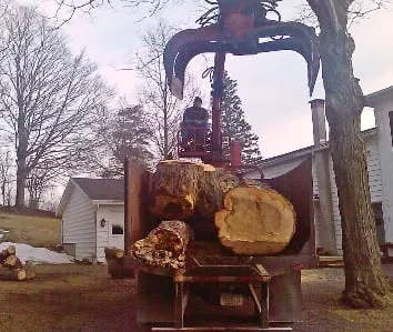 Expert yard maintenance for residential properties across Fulton, NY - All Pro Tree & Landscaping Service