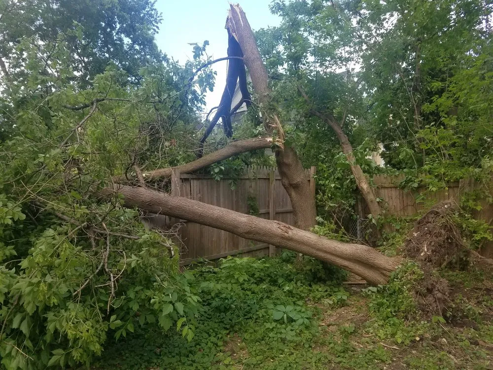 Custom residential landscaping experts serving Fulton, NY - All Pro Tree & Landscaping Service