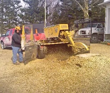 Local yard maintenance for year-round maintenance across Fulton, NY - All Pro Tree & Landscaping Service