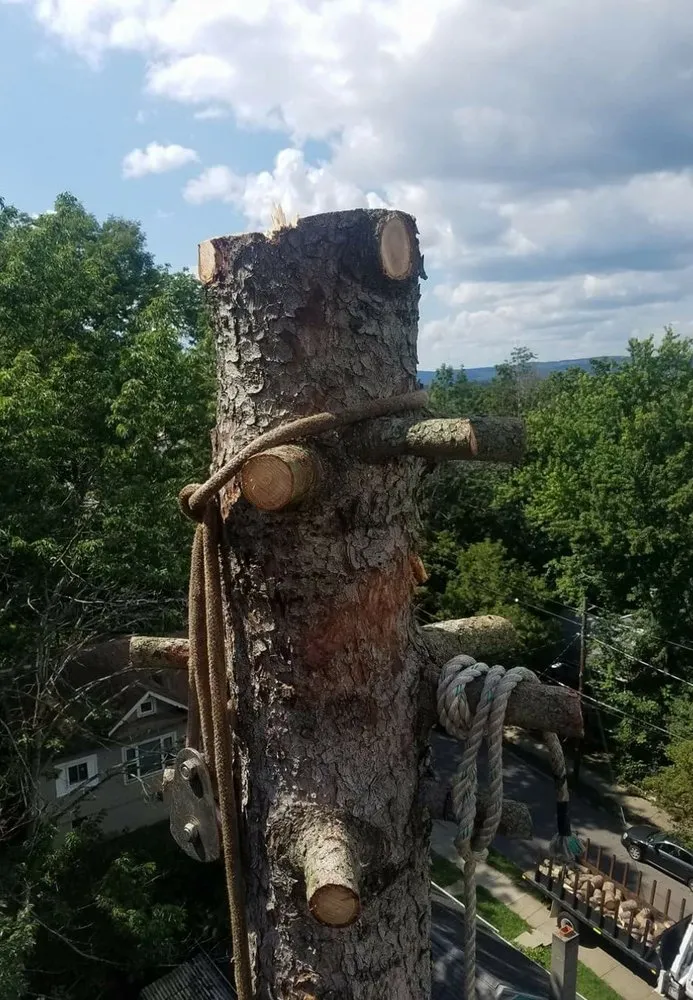 Custom landscape design experts serving Fulton, NY - All Pro Tree & Landscaping Service