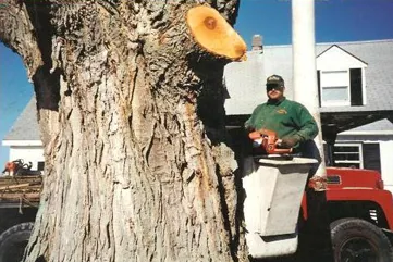 Professional residential landscaping experts serving Fulton, NY - All Pro Tree & Landscaping Service