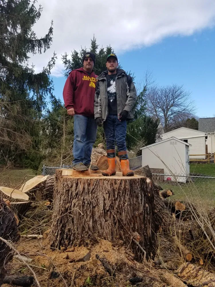 Affordable outdoor landscaping in Fulton, NY - All Pro Tree & Landscaping Service