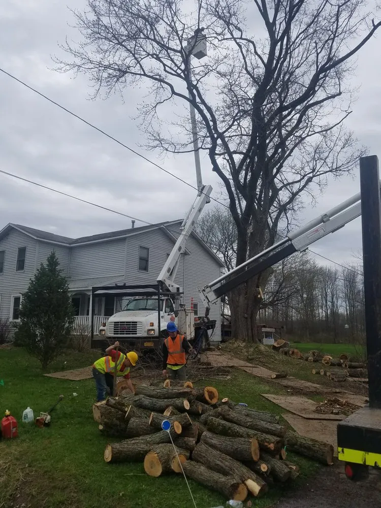 Expert landscape installation for outdoor upgrades in Fulton, NY by All Pro Tree & Landscaping Service