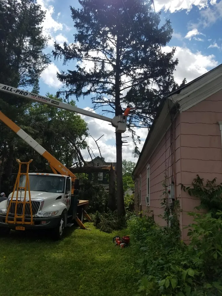 Custom garden landscaping in Fulton, NY by All Pro Tree & Landscaping Service